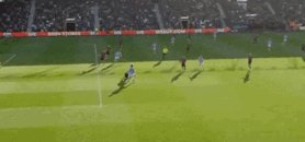 IMB_C95xv4.gif